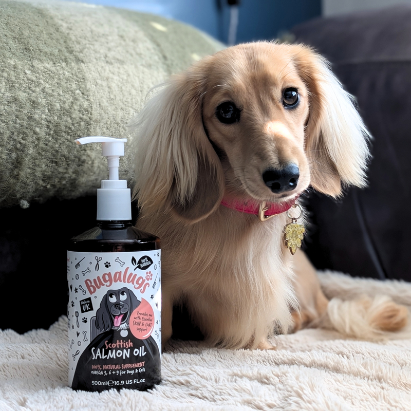 Pet Supplements