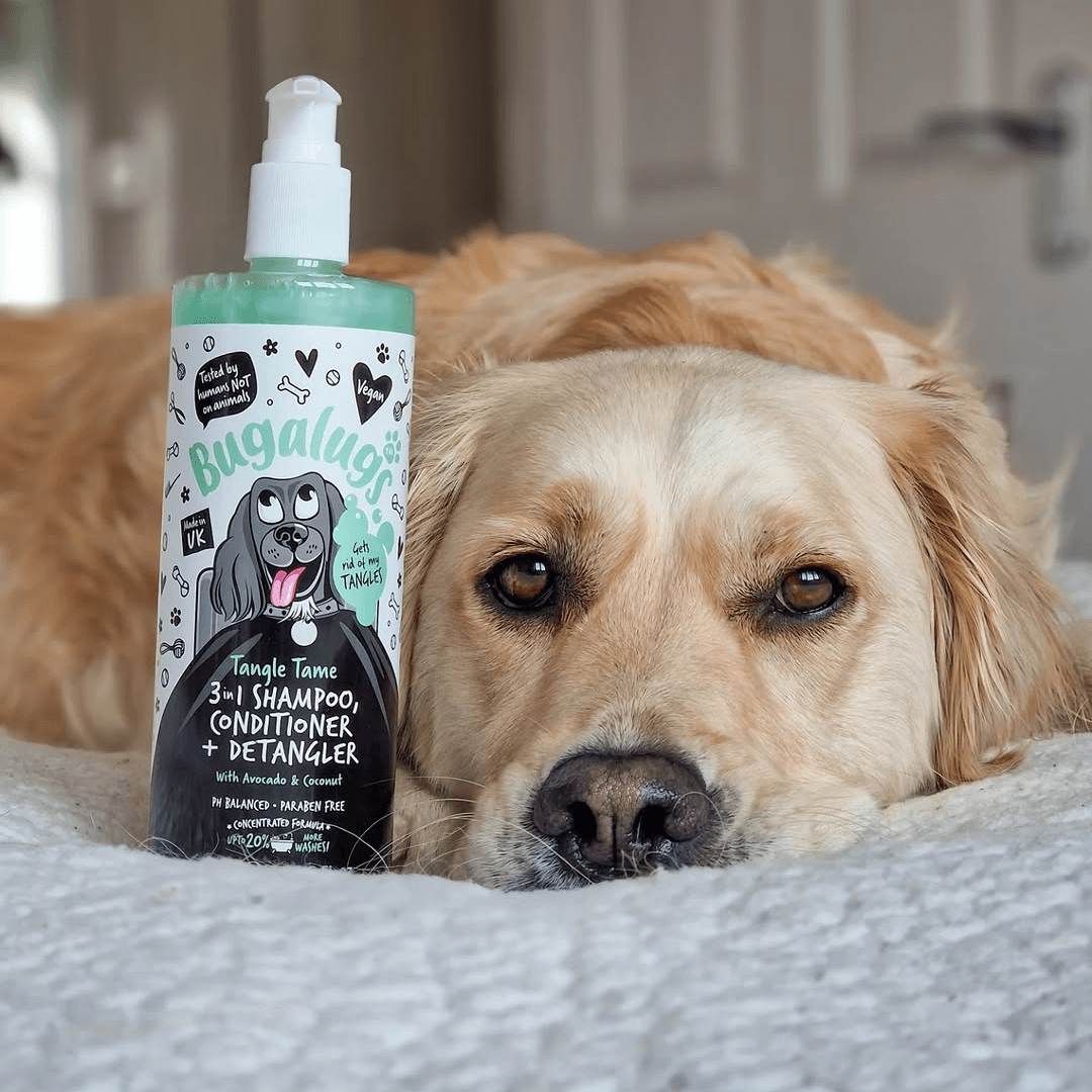 Dog Groomers