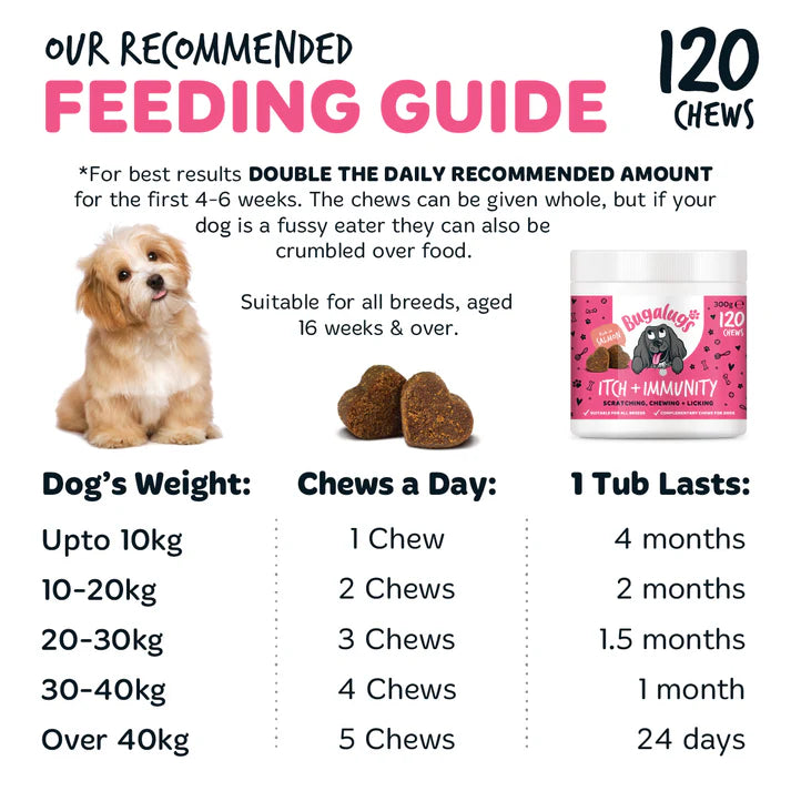 Itch & Immunity Supplement Chews for Dogs