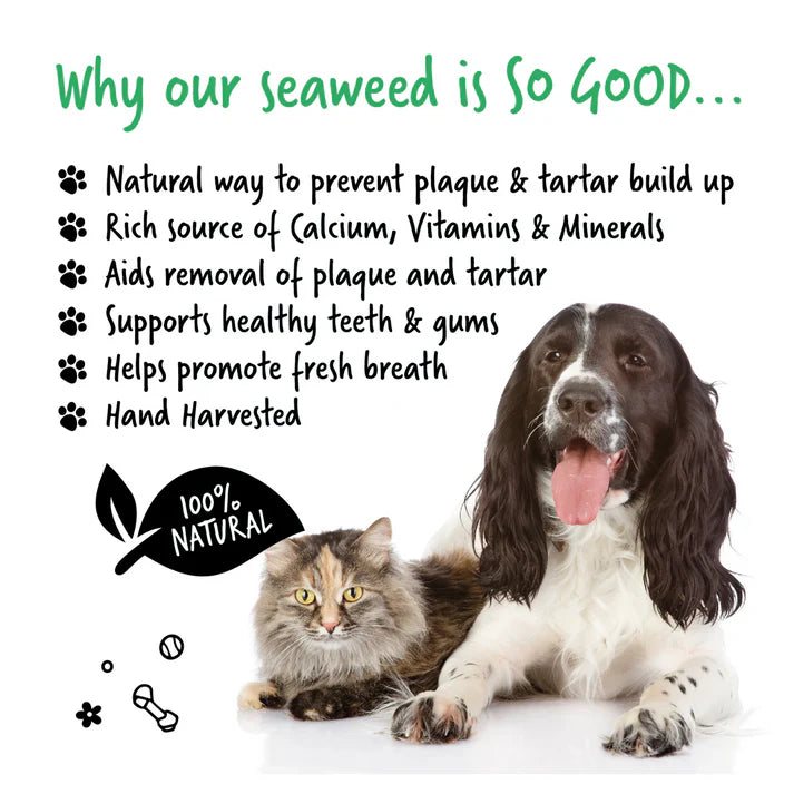 100% Natural Plaque Remover for Dogs & Cats (70g)